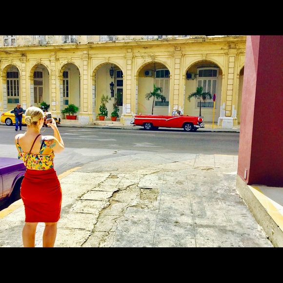 Meet your Posher, Mikki - Picture 4 of 8